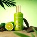 Oud-Holidays-Pendora-Scents-by-Paris-Corner-בהשראת-Oud-Island-Montale-בושם-יוניסקס.jpg