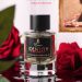 Paris-Corner-Identity-Emir-Perfumes-UNIQUE-PORTRAIT-בהשראת-Portrait-of-a-Lady-Frederic-Malle-בושם-לאישה3.jpg